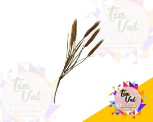 Foto de TRIGO GRANDE - EUCARISTIA - PASCOA